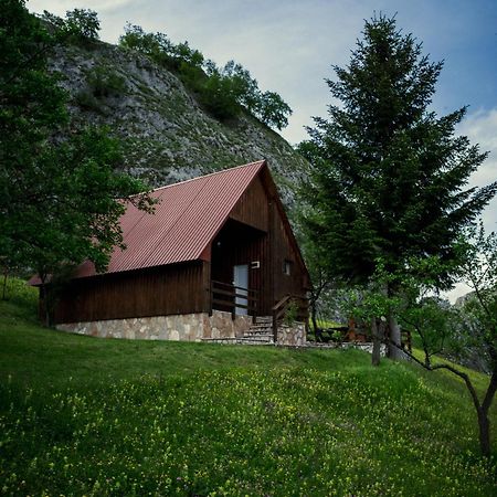 Hotel Detached House Milivoje Poscenje Zewnętrze zdjęcie