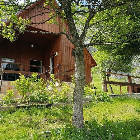 Hotel Detached House Milivoje Poscenje Zewnętrze zdjęcie