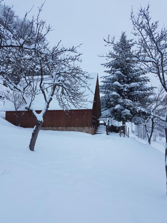 Hotel Detached House Milivoje Poscenje Zewnętrze zdjęcie