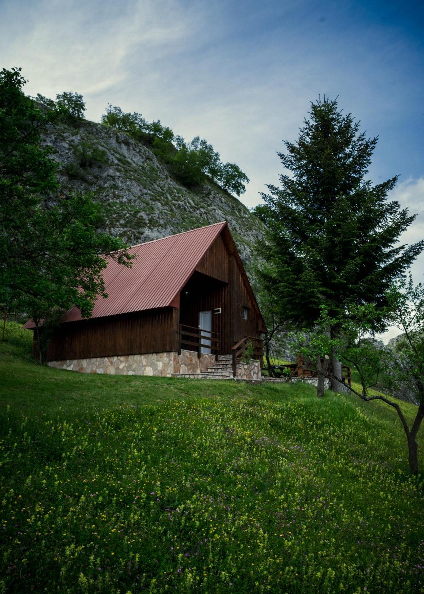 Hotel Detached House Milivoje Poscenje Zewnętrze zdjęcie