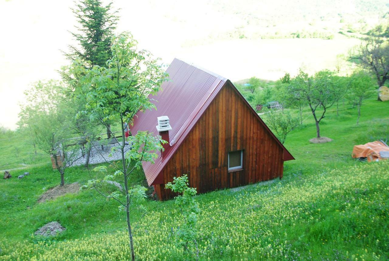 Hotel Detached House Milivoje Poscenje Zewnętrze zdjęcie